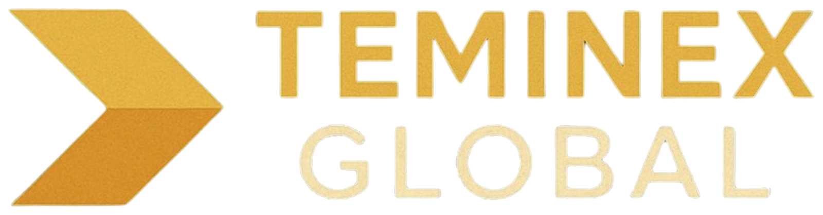 TEMINEX GLOBAL